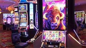 5588bet app